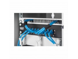 Digitus 250mm panel 8-port CAT.6 1U FTP DN-91608S