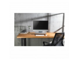 Digitus namizni podstavek ALU za monitor srebrn DA-90369