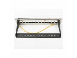 Digitus 250mm panel 12-port modularni DN-91420