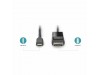 Digitus kabel USB TipC-DisplayPort 2m 8K 30Hz obojesmerni