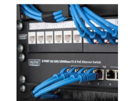 Digitus 250mm organizator 1U z metlico DN-10-ORG-1-2U-B