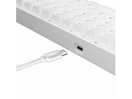 WHITE SHARK tipkovnica USB bela/rjava mehanska stikala SLO GK-2022 SHINOBI-W