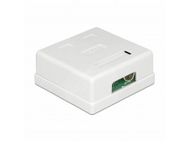 Delock nadometna vtičnica 2x RJ45 CAT.6 86269