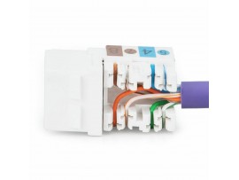 Digitus modul CAT.6  UTP DN-93601