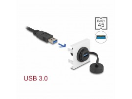 Delock modul Easy USB 45x45 81410