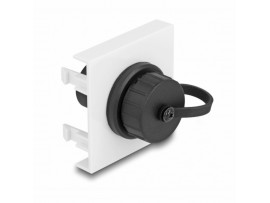 Delock modul Easy USB 45x45 81410