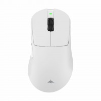 WHITE SHARK PL miška brezžična bela WGM-9013 CAMILLUS-W