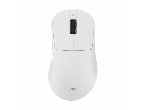 WHITE SHARK PL miška brezžična bela WGM-9013 CAMILLUS-W