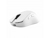 WHITE SHARK PL miška brezžična bela WGM-9013 CAMILLUS-W